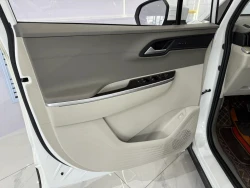 Hyundai Custo 9