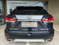 Lexus RX300 9
