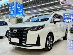 Trumpchi M6 8