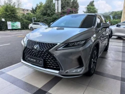 Lexus RX300 0