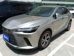Lexus RX300 11