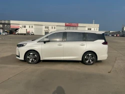 Trumpchi M6 8