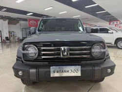 TANK 300 6
