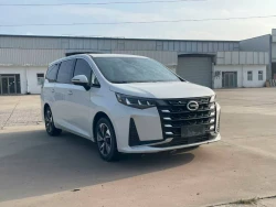 Trumpchi M6 0
