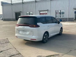 Trumpchi M6 9