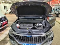 Changan Oshan x5 12