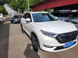 Changan Oshan x7 19