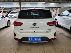 GAC ( trumpchi ) GS4 6