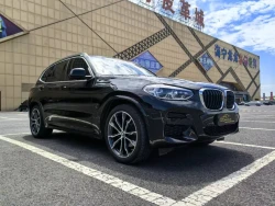 BMW X3 8