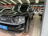 Haval Big Dog DaGou 2023 год (доступен к заказу) 5