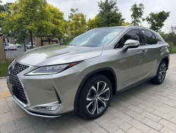 Lexus RX300 18
