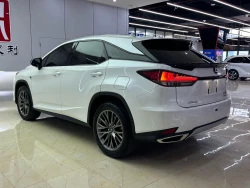Lexus RX300 8