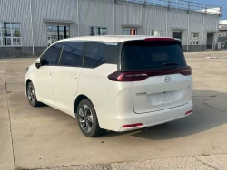 Trumpchi M6 7