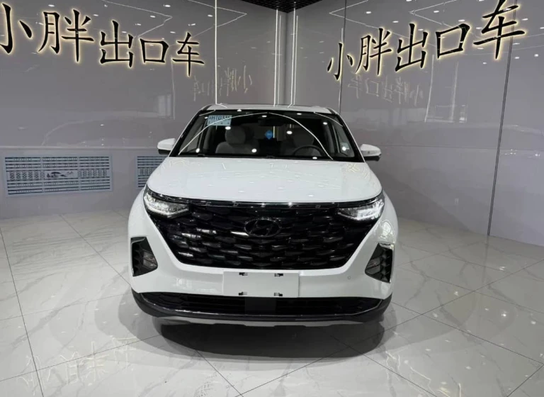 Hyundai Custo