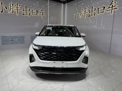 Hyundai Custo 2