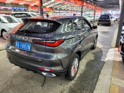 Changan Oshan x5 14